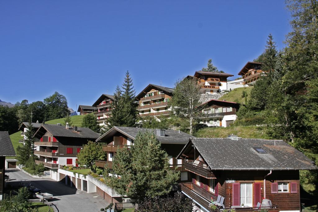 Chalet Zur Hoehe Leilighet Grindelwald Rom bilde