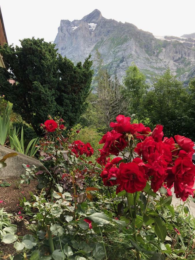 Chalet Zur Hoehe Leilighet Grindelwald Eksteriør bilde